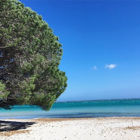 Appartement Proche Des Plus Belles Plages ポルトヴェッキオ エクステリア 写真