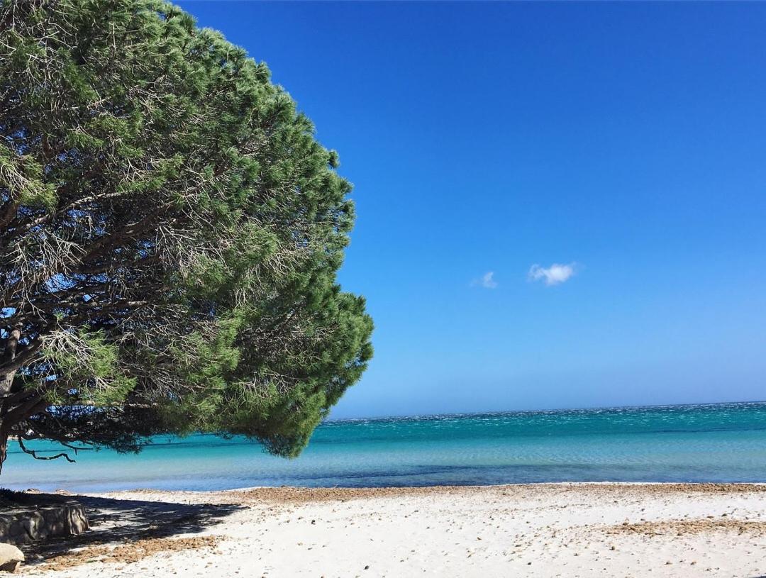 Appartement Proche Des Plus Belles Plages ポルトヴェッキオ エクステリア 写真