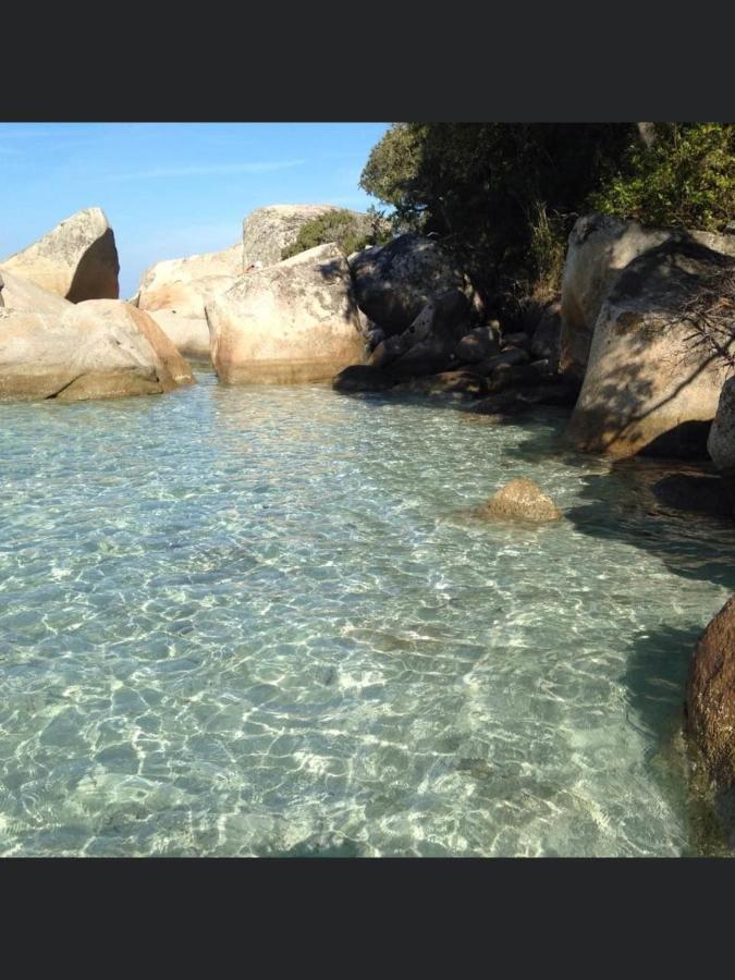 Appartement Proche Des Plus Belles Plages ポルトヴェッキオ エクステリア 写真