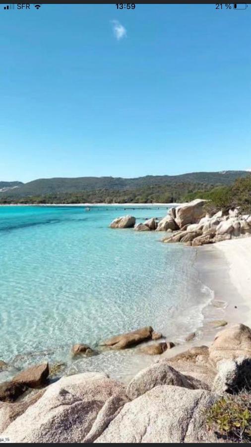 Appartement Proche Des Plus Belles Plages ポルトヴェッキオ エクステリア 写真